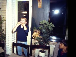 0DIA 1984 RAVA PUPS 1